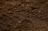 Soil Testing