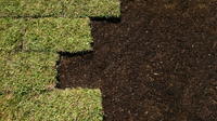 Soil Testing