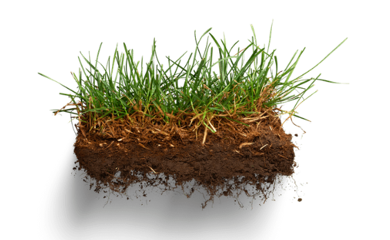 Soil Testing
