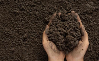 Soil Testing