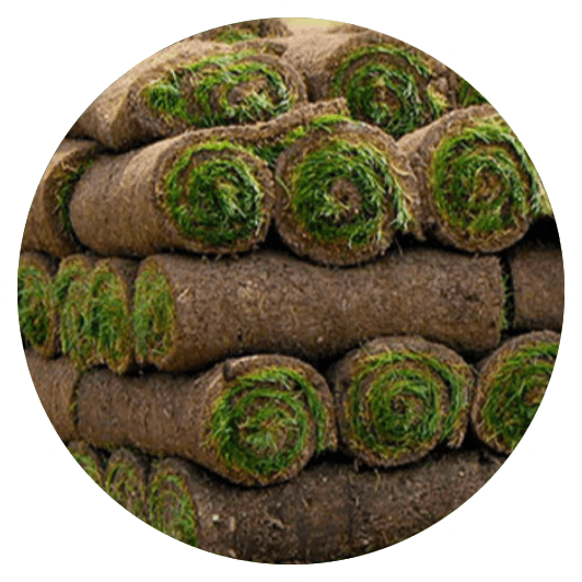 Utah Sod for Sale Sod Farms & Installation Services